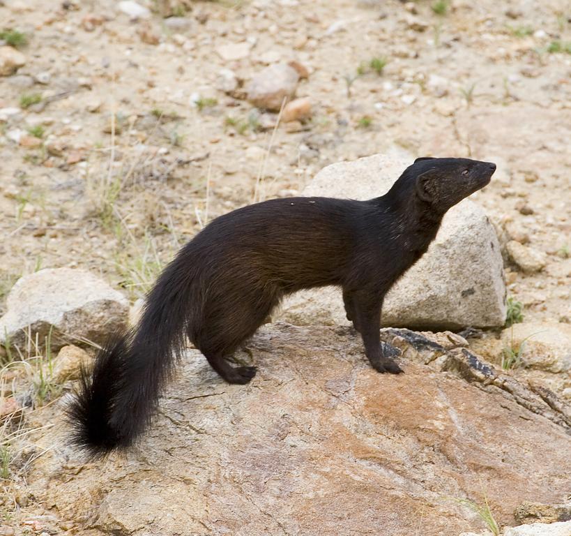 Erongo Wilderness Lodge โอมารูรู ภายนอก รูปภาพ